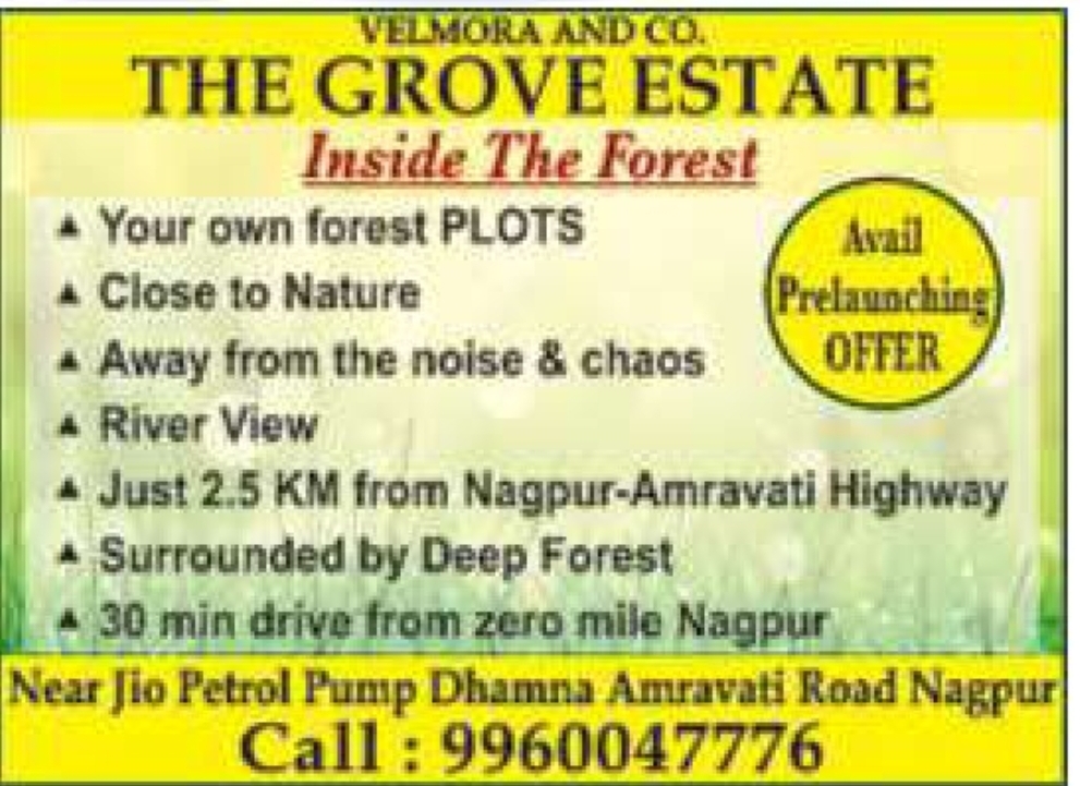🌳 THE GROVE ESTATE