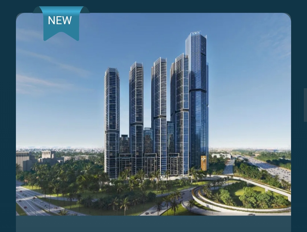 ✨ The Tranquil ✨