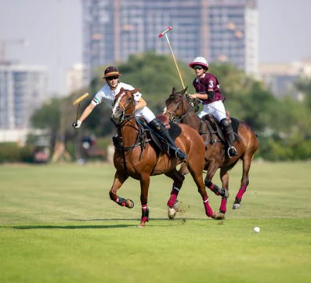 🏇🇦🇪 UAE National Day Cup at Al Habtoor Polo Resort & Club