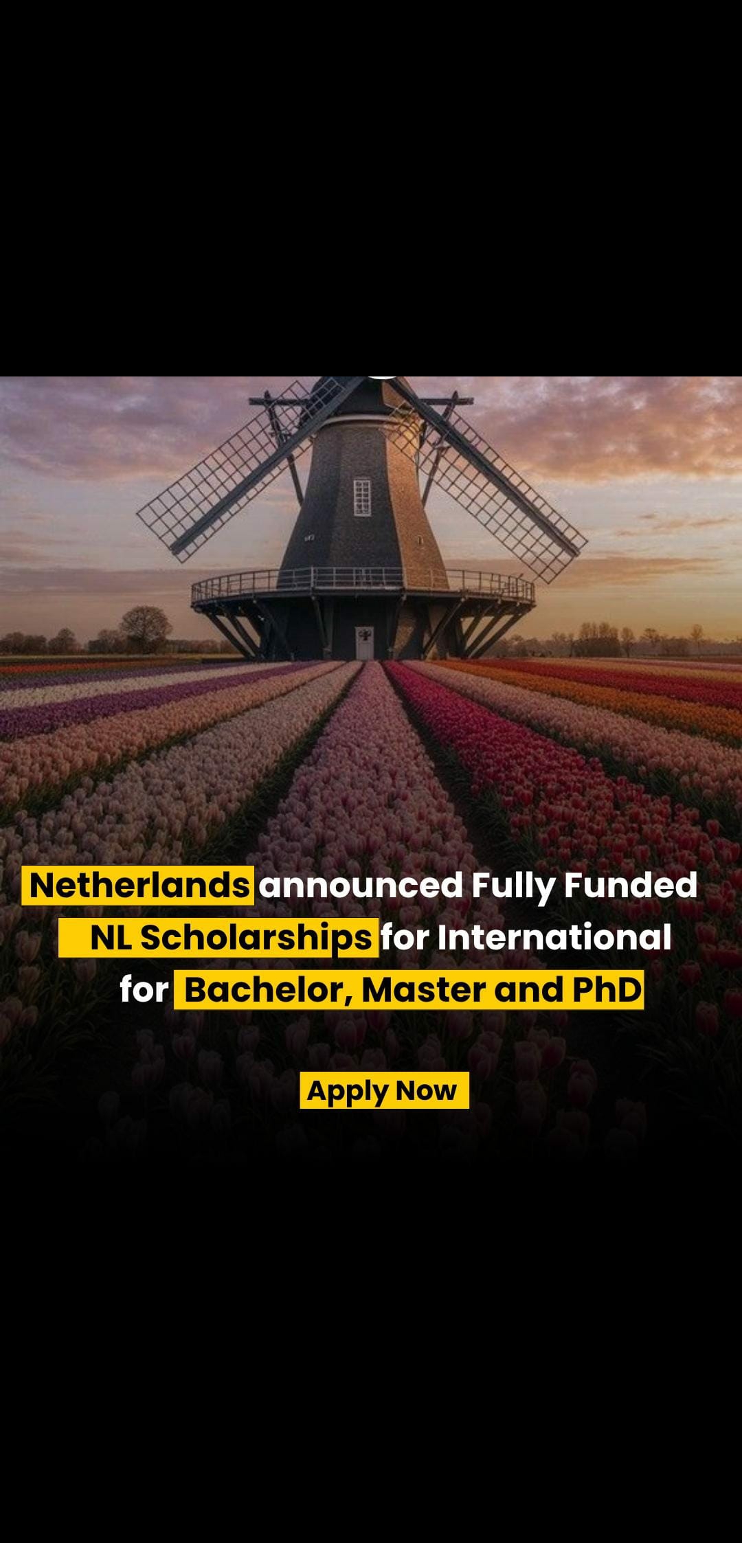 🎓 𝗡𝗲𝘁𝗵𝗲𝗿𝗹𝗮𝗻𝗱𝘀 𝗚𝗼𝘃𝗲𝗿𝗻𝗺𝗲𝗻𝘁 𝗡𝗟 𝗦𝗰𝗵𝗼𝗹𝗮𝗿𝘀𝗵𝗶𝗽 𝟮𝟬𝟮𝟲 | 𝗦𝘁𝘂𝗱𝘆 𝗶𝗻 𝗘𝘂𝗿𝗼𝗽𝗲