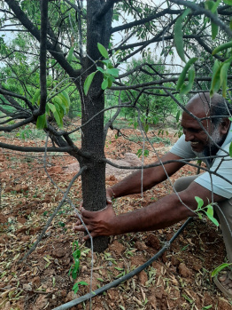121 Sq. Yards Agricultural/Farm Land for Sale in JP Darga, Kothur, Hyderabad