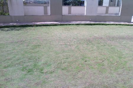 85.0 Lac ₹10,391/sqft EMI - ₹ 40k|Get Loan offers from 34+ banks 2 BHK Flat For Sale in Elmwoods Pimple Saudagar, Pune
