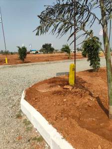 A big party lawn area for grand gatherings!!!